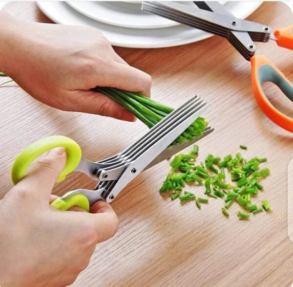 5 Layered Stainless Steel Vegetable Scissor Cutter - REVEL.PK