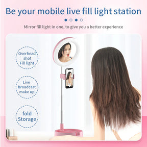 LED Light Adjustable Folding Makeup Mirror with Mobile Holder